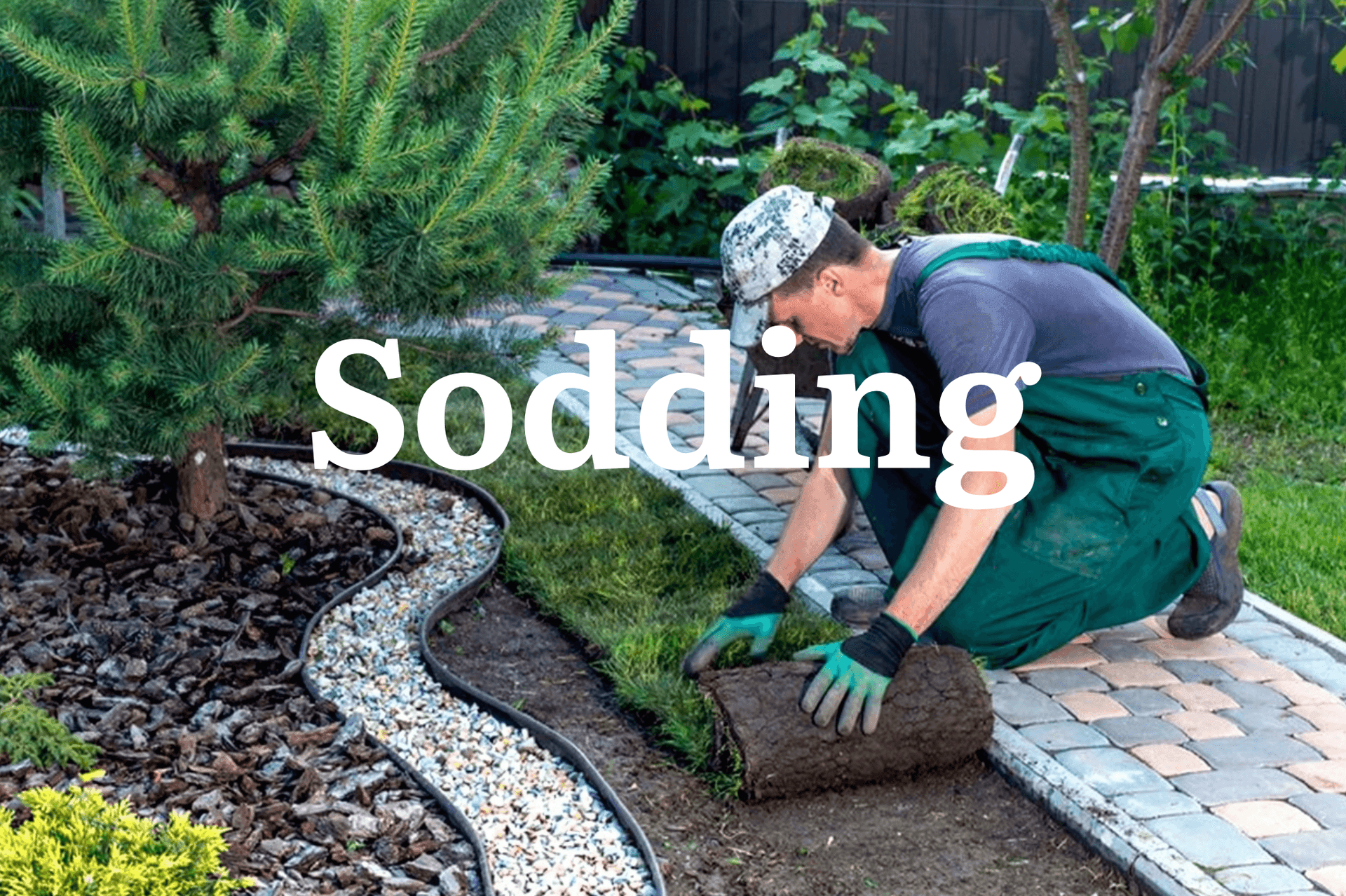 Person laying sod on a garden path beside a tree and decorative border.